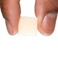 Minnow Catfish Bait Catfish Pro