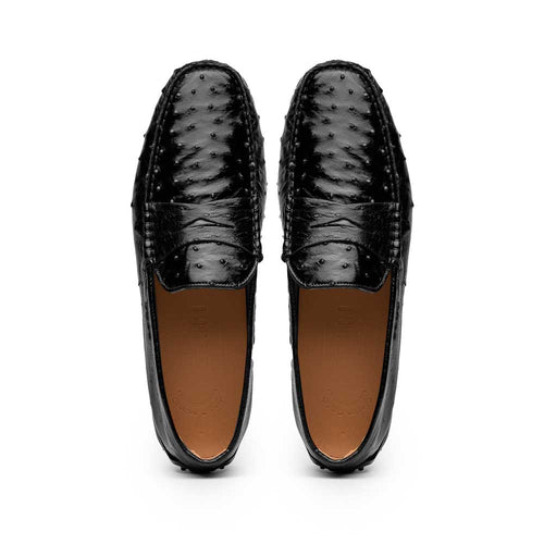 Zelli Italia Zelli Italia 33-100-BLK MONZA Ostrich Quill Driver, Black