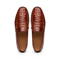 Zelli Italia Zelli Italia 33-100-BDY MONZA Ostrich Quill Driver, Brandy