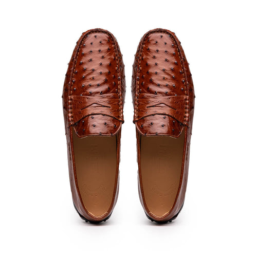 Zelli Italia Zelli Italia 33-100-BDY MONZA Ostrich Quill Driver, Brandy