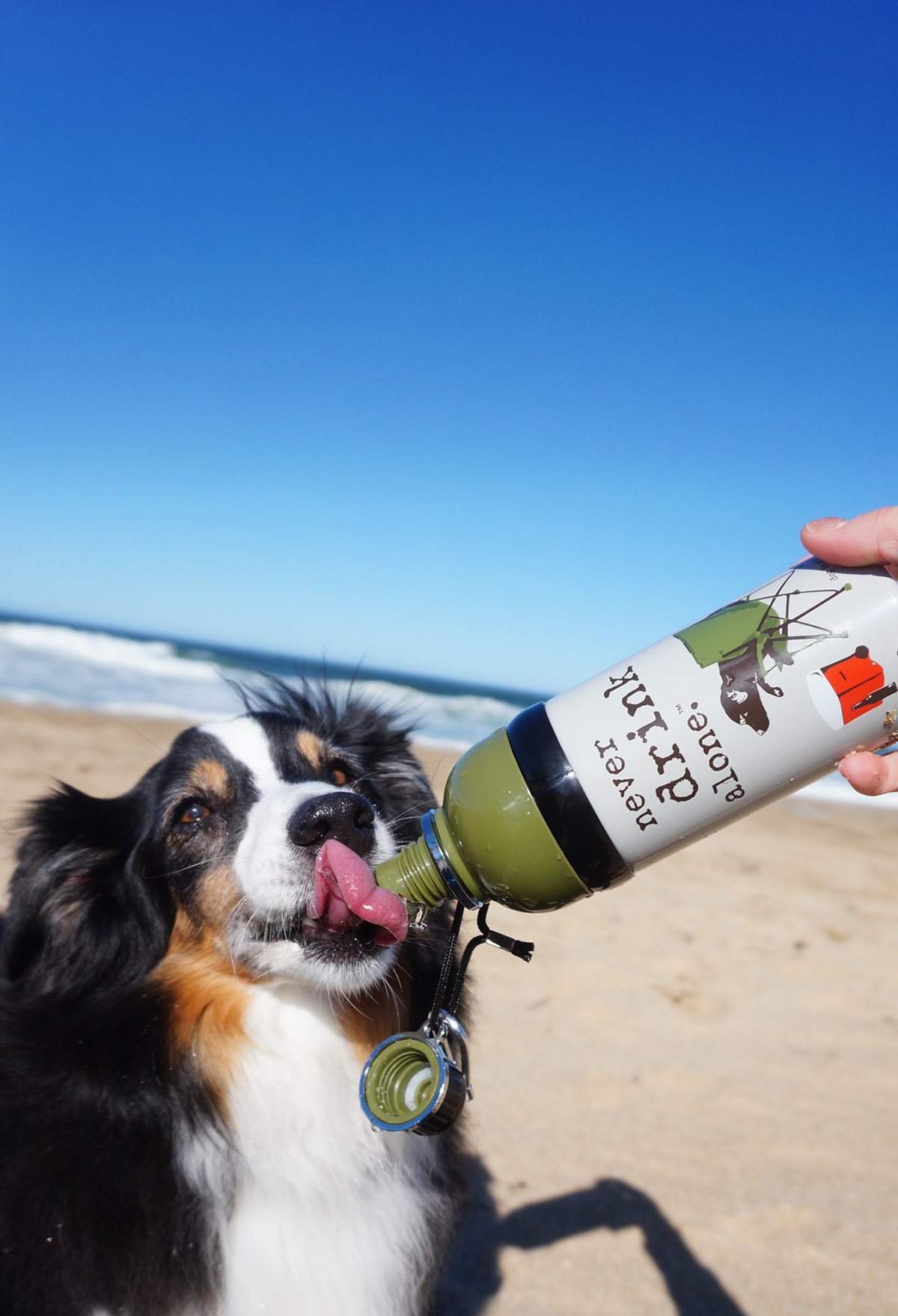 Dog is Good Dog is Good Dog Water Bottle: Never Drink Alone