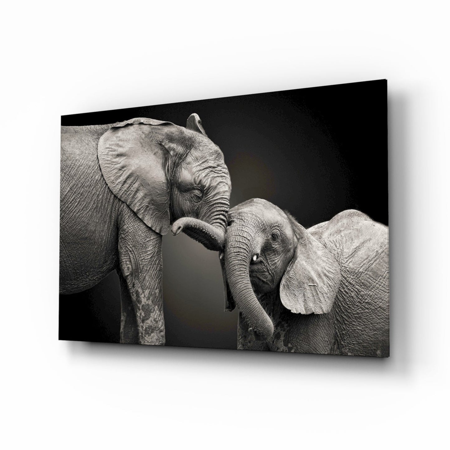 Insigneart USA Insigneart USA Elephants Glass Wall Art
