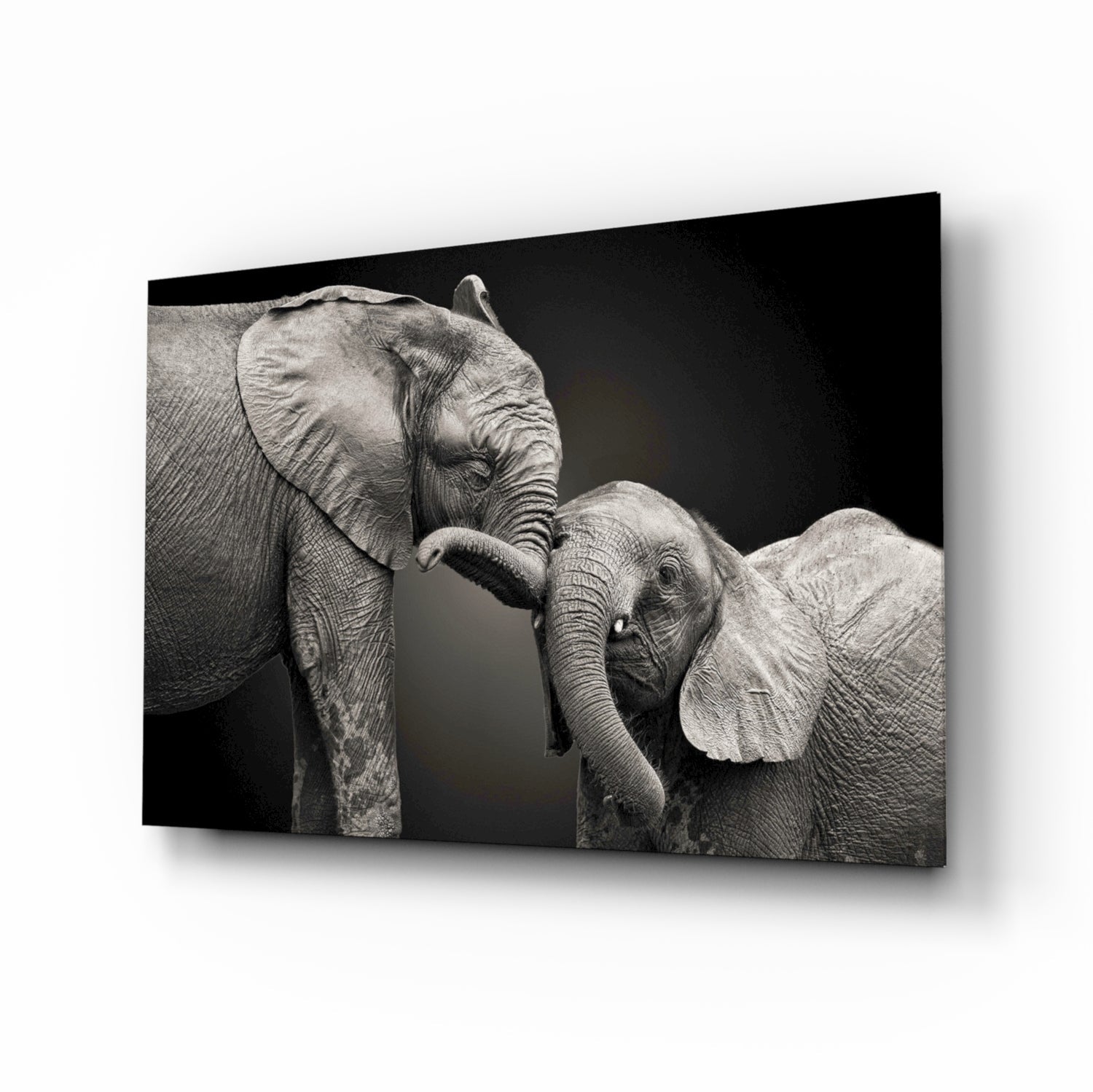 Insigneart USA Insigneart USA Elephants Glass Wall Art