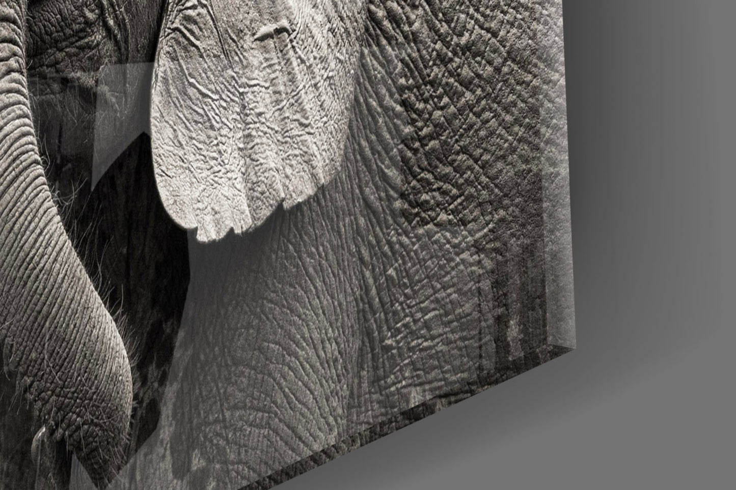 Insigneart USA Insigneart USA Elephants Glass Wall Art