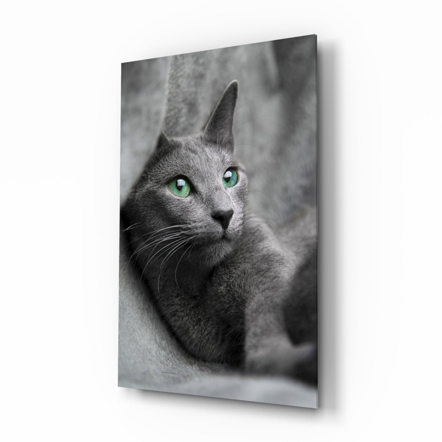 Insigneart USA Insigneart USA Cat Glass Wall Art