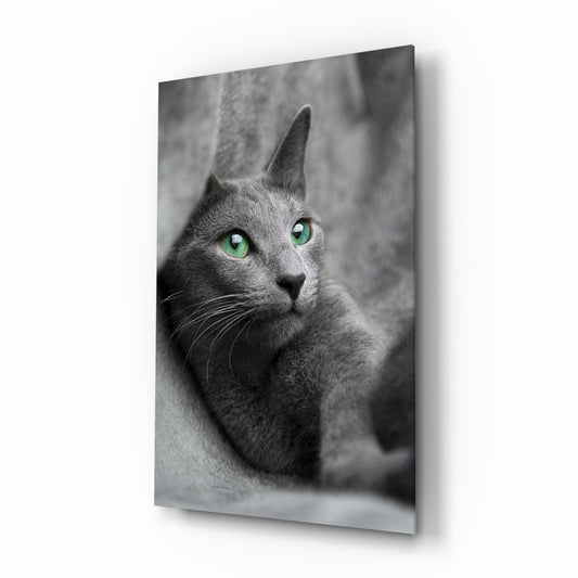 Insigneart USA Insigneart USA Cat Glass Wall Art