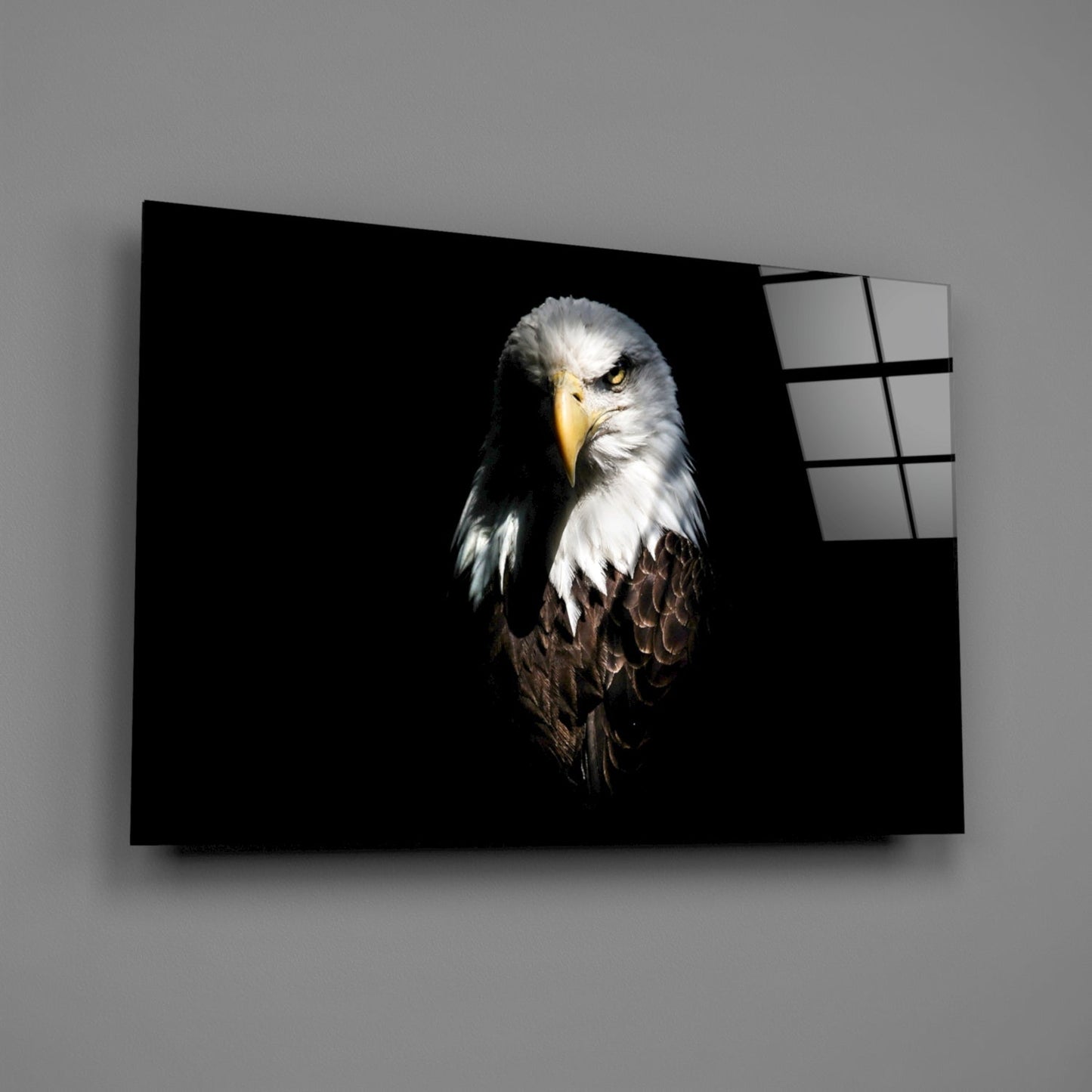 Insigneart USA Insigneart USA Eagle Glass Wall Art