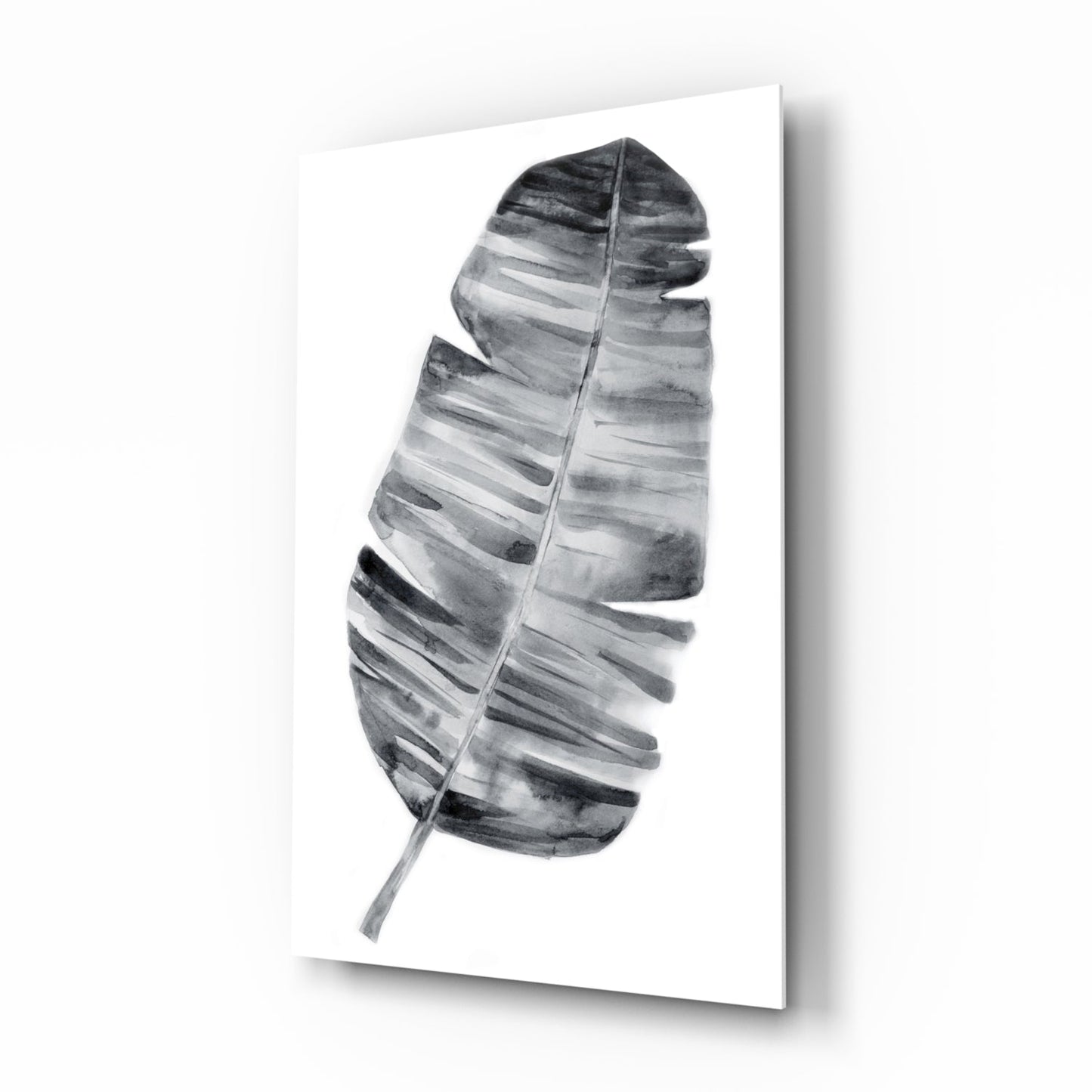 Insigneart USA Insigneart USA Feather Glass Wall Art