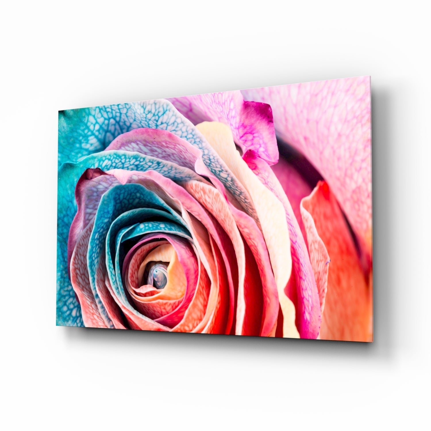Insigneart USA Insigneart USA Colored Rose Glass Wall Art
