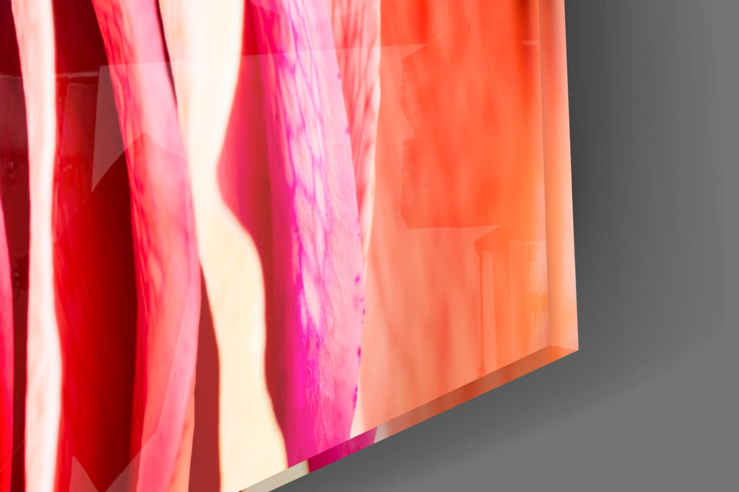 Insigneart USA Insigneart USA Colored Rose Glass Wall Art