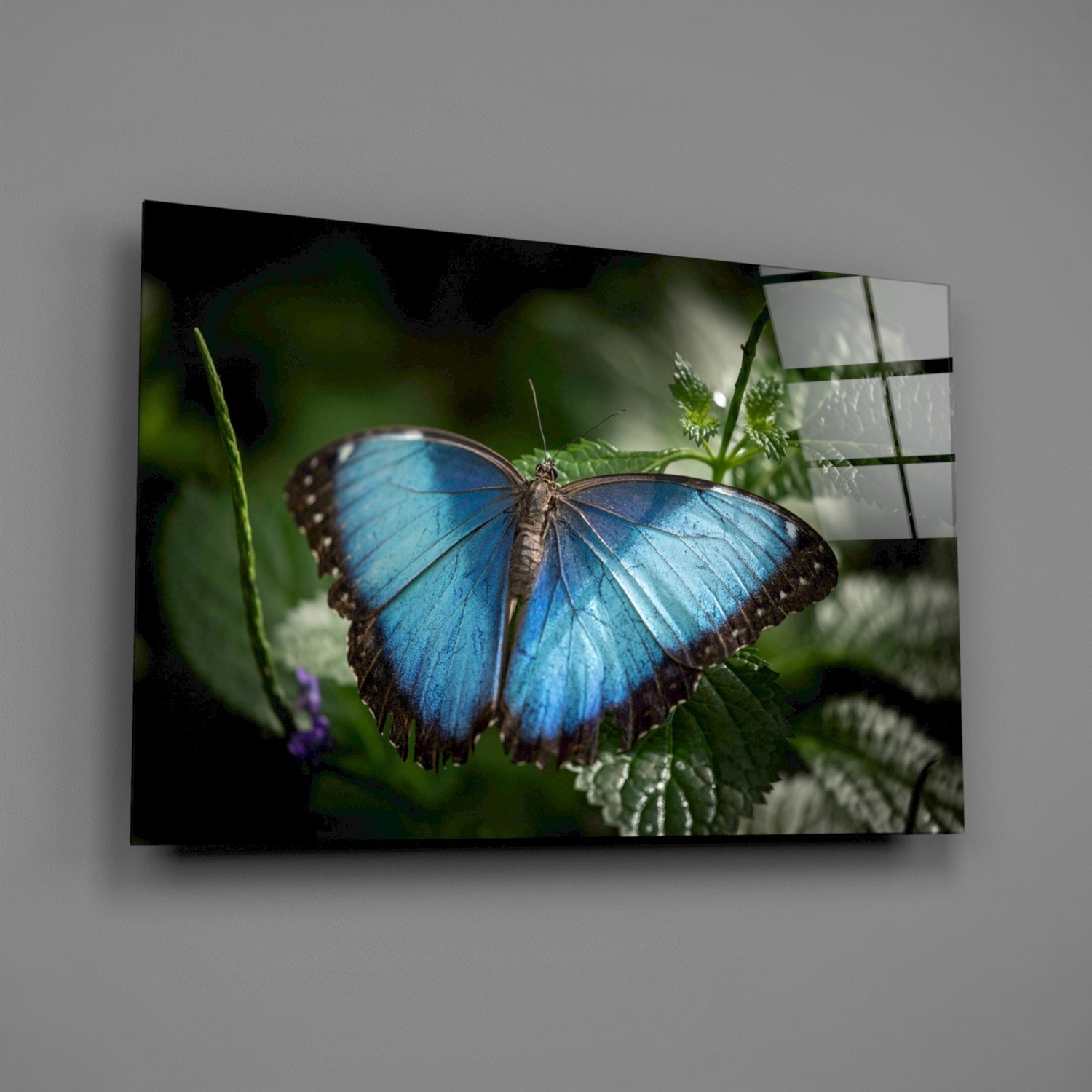 Insigneart USA Insigneart USA Butterfly Glass Wall Art