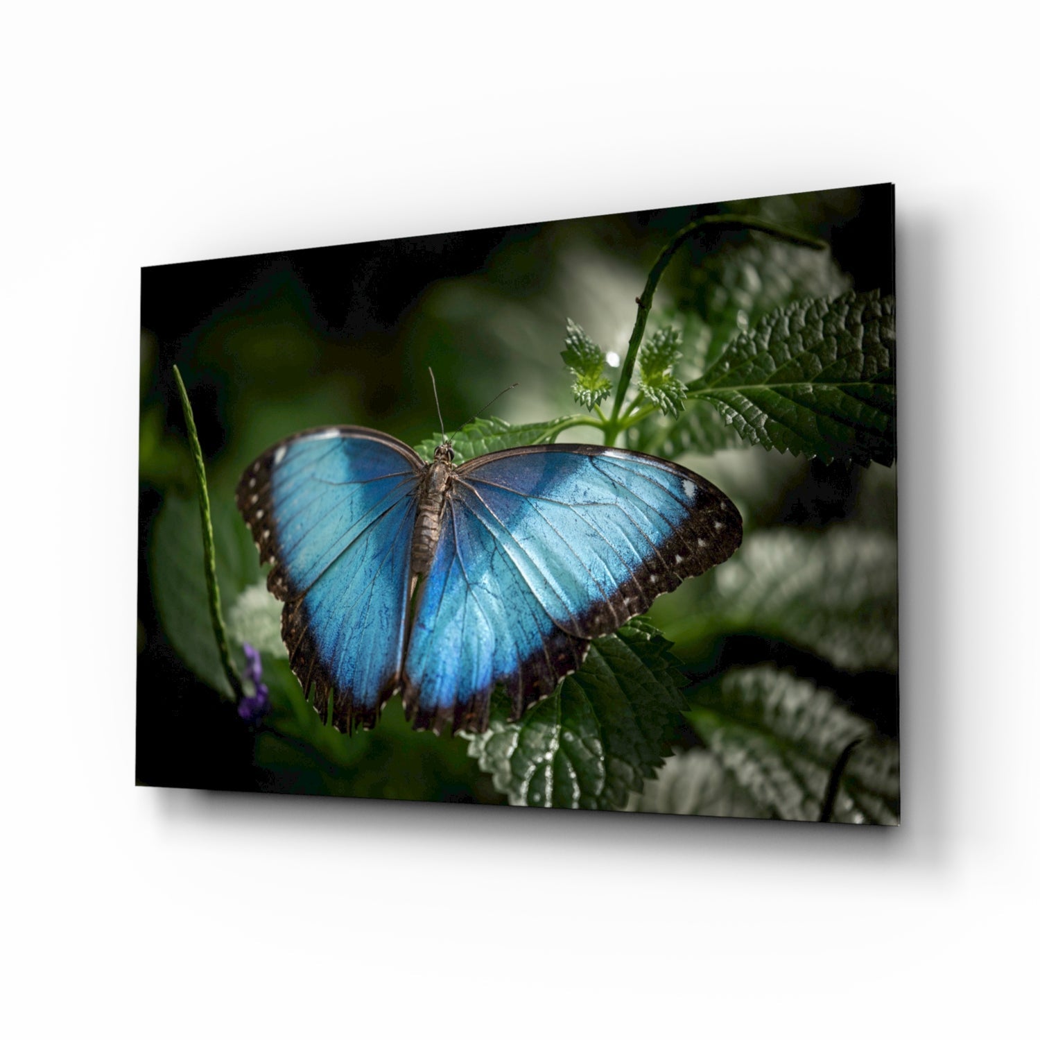 Insigneart USA Insigneart USA Butterfly Glass Wall Art