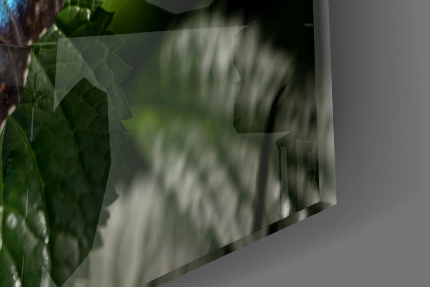 Insigneart USA Insigneart USA Butterfly Glass Wall Art