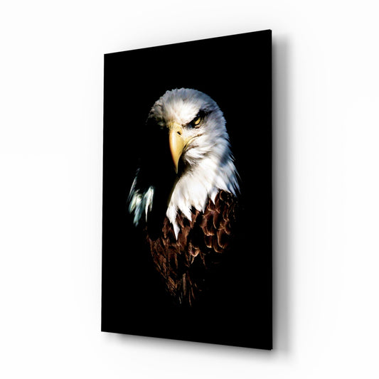 Insigneart USA Insigneart USA Eagle Glass Wall Art
