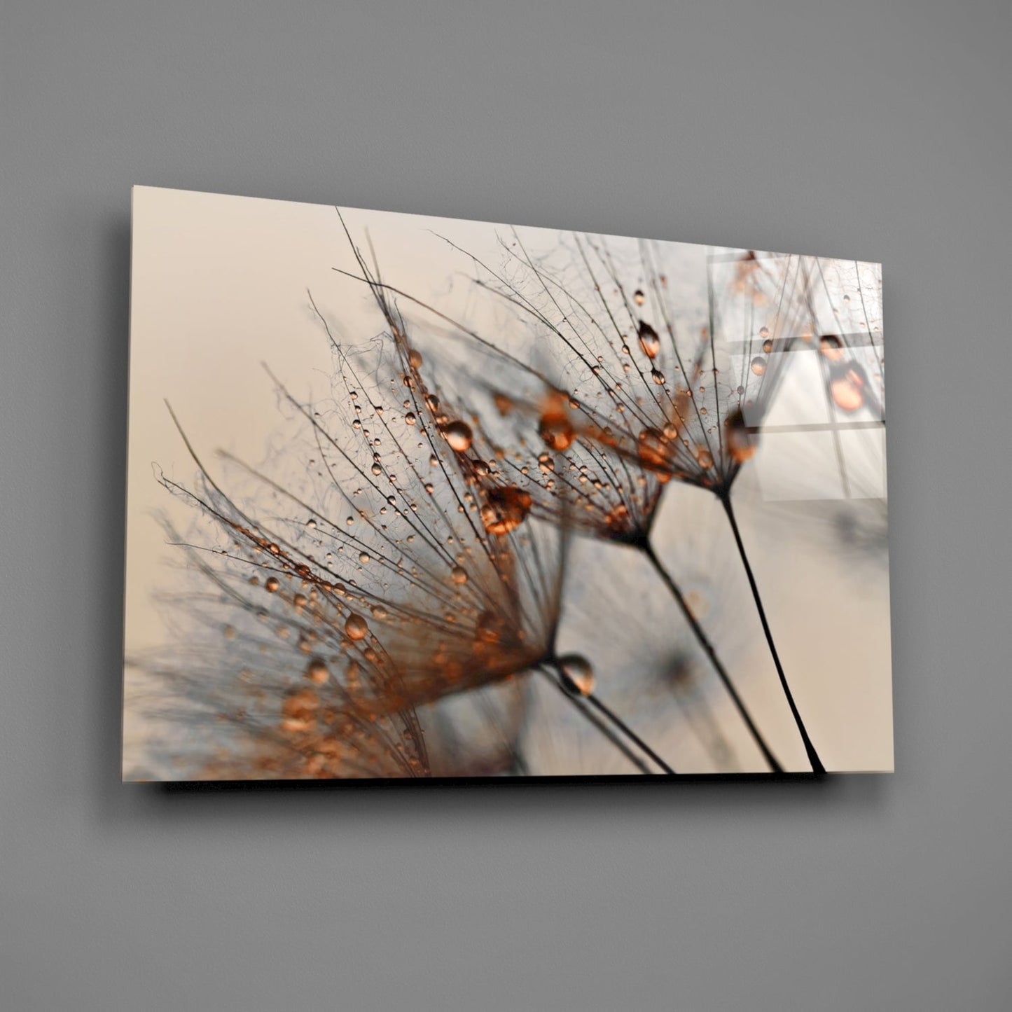 Insigneart USA Insigneart USA Cinnamon Dandelion Glass Wall Art
