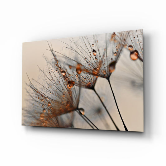 Insigneart USA Insigneart USA Cinnamon Dandelion Glass Wall Art