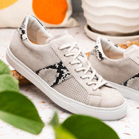 Zelli Italia 66-100-GRY OLYMPIAS Genuine Python and Italian Sueded Goatskin, Grey