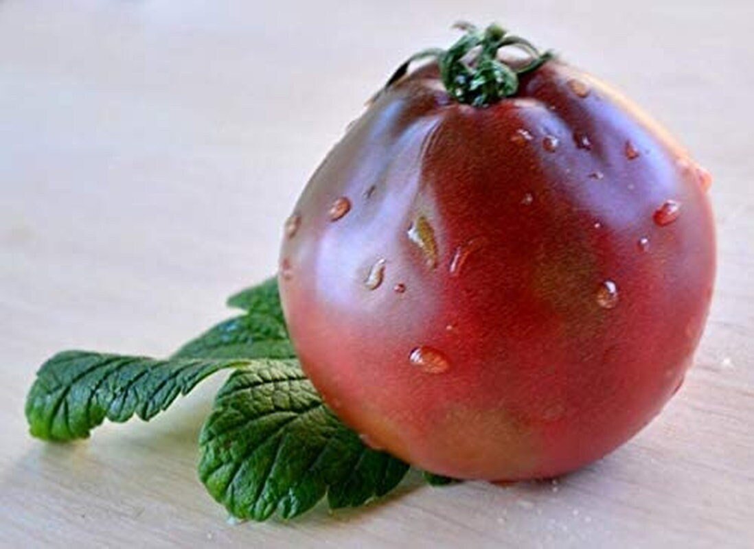 South Mountain Nursery Organic Black Truffle Japanese Tomato Seeds - Non GMO - Easy to Grow