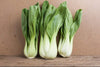 South Mountain Nursery Pak Choi - 500 Seeds - Bok Choy Asian Vegetable Seeds Chinese Cabbage