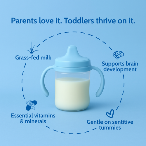 Intro Offer - Holle Cow Milk Toddler Drink - Stage 3 | Non GMO (14 oz) Holle USA