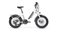 Pathfinder 350 Magnum Bikes Online