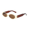 Retro Oval Frame Sunglasses HTO Apparel