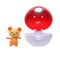 Teddiursa and a Poké Ball