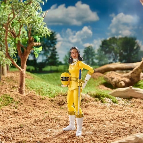 ToyShnip Power Rangers Lightning Collection Zeo 6-Inch Action Figure - Select