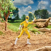 ToyShnip Power Rangers Lightning Collection Zeo 6-Inch Action Figure - Select