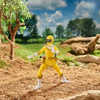 ToyShnip Power Rangers Lightning Collection Zeo 6-Inch Action Figure - Select