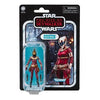 ToyShnip Star Wars: The Rise of Skywalker - The Vintage Collection - 3.75-Inch