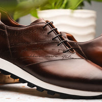 Zelli Italia Zelli Italia 65-395-BRN TESTO Italian Calfskin Sneaker Brown