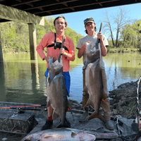 Tournament Series Pink Spinning Rod Catfish Pro