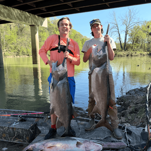 Tournament Series Pink Spinning Rod Catfish Pro