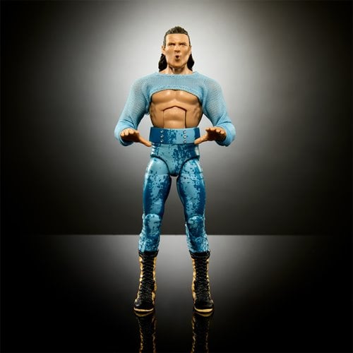 ToyShnip WWE Elite Collection Series 110 Action Figure - Select Figure(s)